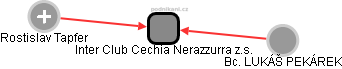 Inter Club Cechia Nerazzurra z.s. - náhled vizuálního zobrazení vztahů obchodního rejstříku