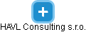 HAVL Consulting s.r.o. - náhled vizuálního zobrazení vztahů obchodního rejstříku