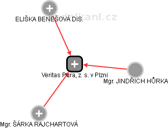 Veritas Pura, z. s. v Plzni - náhled vizuálního zobrazení vztahů obchodního rejstříku