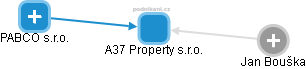 A37 Property s.r.o. - náhled vizuálního zobrazení vztahů obchodního rejstříku