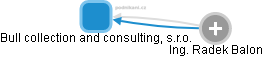 Bull collection and consulting, s.r.o. - náhled vizuálního zobrazení vztahů obchodního rejstříku