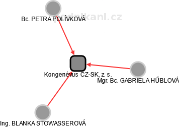 Kongenévus CZ-SK, z. s. - náhled vizuálního zobrazení vztahů obchodního rejstříku