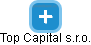 Top Capital s.r.o. - náhled vizuálního zobrazení vztahů obchodního rejstříku