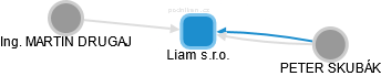 Liam s.r.o. - náhled vizuálního zobrazení vztahů obchodního rejstříku