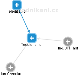 Tesoler s.r.o. - náhled vizuálního zobrazení vztahů obchodního rejstříku