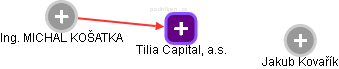 Tilia Capital, a.s. - náhled vizuálního zobrazení vztahů obchodního rejstříku