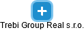 Trebi Group Real s.r.o. - náhled vizuálního zobrazení vztahů obchodního rejstříku