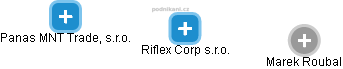Riflex Corp s.r.o. - náhled vizuálního zobrazení vztahů obchodního rejstříku