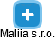 Maliia s.r.o. - náhled vizuálního zobrazení vztahů obchodního rejstříku