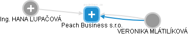 Peach Business s.r.o. - náhled vizuálního zobrazení vztahů obchodního rejstříku