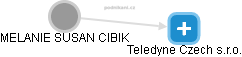Teledyne Czech s.r.o. - náhled vizuálního zobrazení vztahů obchodního rejstříku