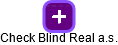 Check Blind Real a.s. - náhled vizuálního zobrazení vztahů obchodního rejstříku