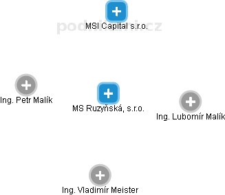 MS Ruzyňská, s.r.o. - náhled vizuálního zobrazení vztahů obchodního rejstříku