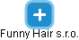 Funny Hair s.r.o. - náhled vizuálního zobrazení vztahů obchodního rejstříku