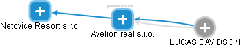 Avelion real s.r.o. - náhled vizuálního zobrazení vztahů obchodního rejstříku