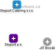 Skyport a.s. - náhled vizuálního zobrazení vztahů obchodního rejstříku
