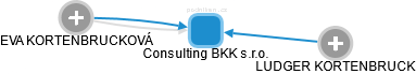 Consulting BKK s.r.o. - náhled vizuálního zobrazení vztahů obchodního rejstříku