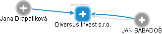 Diversus Invest s.r.o. - náhled vizuálního zobrazení vztahů obchodního rejstříku