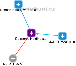 Delmonte Holding a.s. - náhled vizuálního zobrazení vztahů obchodního rejstříku