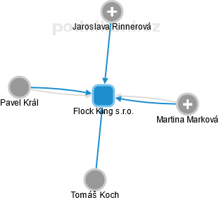 Flock King s.r.o. - náhled vizuálního zobrazení vztahů obchodního rejstříku