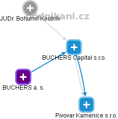 BUCHERS Capital s.r.o. - náhled vizuálního zobrazení vztahů obchodního rejstříku