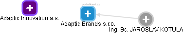 Adaptic Brands s.r.o. - náhled vizuálního zobrazení vztahů obchodního rejstříku