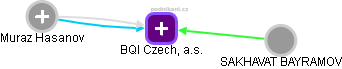 BQI Czech, a.s. - náhled vizuálního zobrazení vztahů obchodního rejstříku