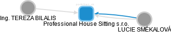 Professional House Sitting s.r.o. - náhled vizuálního zobrazení vztahů obchodního rejstříku