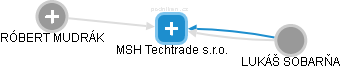 MSH Techtrade s.r.o. - náhled vizuálního zobrazení vztahů obchodního rejstříku
