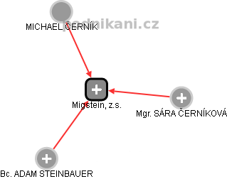 Migstein, z.s. - náhled vizuálního zobrazení vztahů obchodního rejstříku