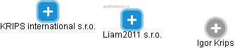 Liam2011 s.r.o. - náhled vizuálního zobrazení vztahů obchodního rejstříku
