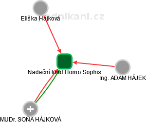 Nadační fond Homo Sophis - náhled vizuálního zobrazení vztahů obchodního rejstříku