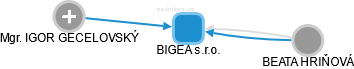BIGEA s.r.o. - náhled vizuálního zobrazení vztahů obchodního rejstříku