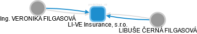 LI-VE Insurance, s.r.o. - náhled vizuálního zobrazení vztahů obchodního rejstříku