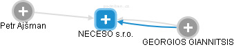 NECESO s.r.o. - náhled vizuálního zobrazení vztahů obchodního rejstříku