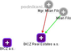 BICZ Real Estates a.s. - náhled vizuálního zobrazení vztahů obchodního rejstříku