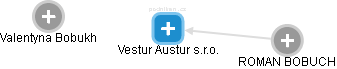 Vestur Austur s.r.o. - náhled vizuálního zobrazení vztahů obchodního rejstříku