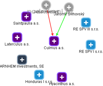 Culmus a.s. - náhled vizuálního zobrazení vztahů obchodního rejstříku