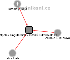 Spolek singulárních vlastníků Lukoveček, z.s. - náhled vizuálního zobrazení vztahů obchodního rejstříku