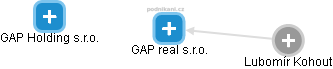 GAP real s.r.o. - náhled vizuálního zobrazení vztahů obchodního rejstříku