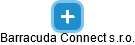 Barracuda Connect s.r.o. - náhled vizuálního zobrazení vztahů obchodního rejstříku