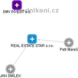 REAL ESTATE STAR s.r.o. - náhled vizuálního zobrazení vztahů obchodního rejstříku