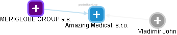 Amazing Medical, s.r.o. - náhled vizuálního zobrazení vztahů obchodního rejstříku