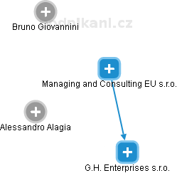 Managing and Consulting EU s.r.o. - náhled vizuálního zobrazení vztahů obchodního rejstříku