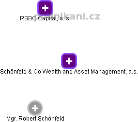 Schönfeld & Co Wealth and Asset Management, a.s. - náhled vizuálního zobrazení vztahů obchodního rejstříku
