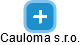 Cauloma s.r.o. - náhled vizuálního zobrazení vztahů obchodního rejstříku