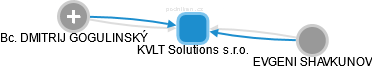 KVLT Solutions s.r.o. - náhled vizuálního zobrazení vztahů obchodního rejstříku