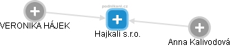 Hajkali s.r.o. - náhled vizuálního zobrazení vztahů obchodního rejstříku