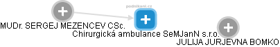 Chirurgická ambulance SeMJanN s.r.o. - náhled vizuálního zobrazení vztahů obchodního rejstříku
