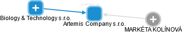 Artemis Company s.r.o. - náhled vizuálního zobrazení vztahů obchodního rejstříku